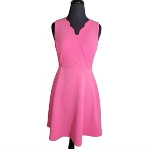 Elle sleeveless scallop trim v neck fit flare pink sheath dress size 2